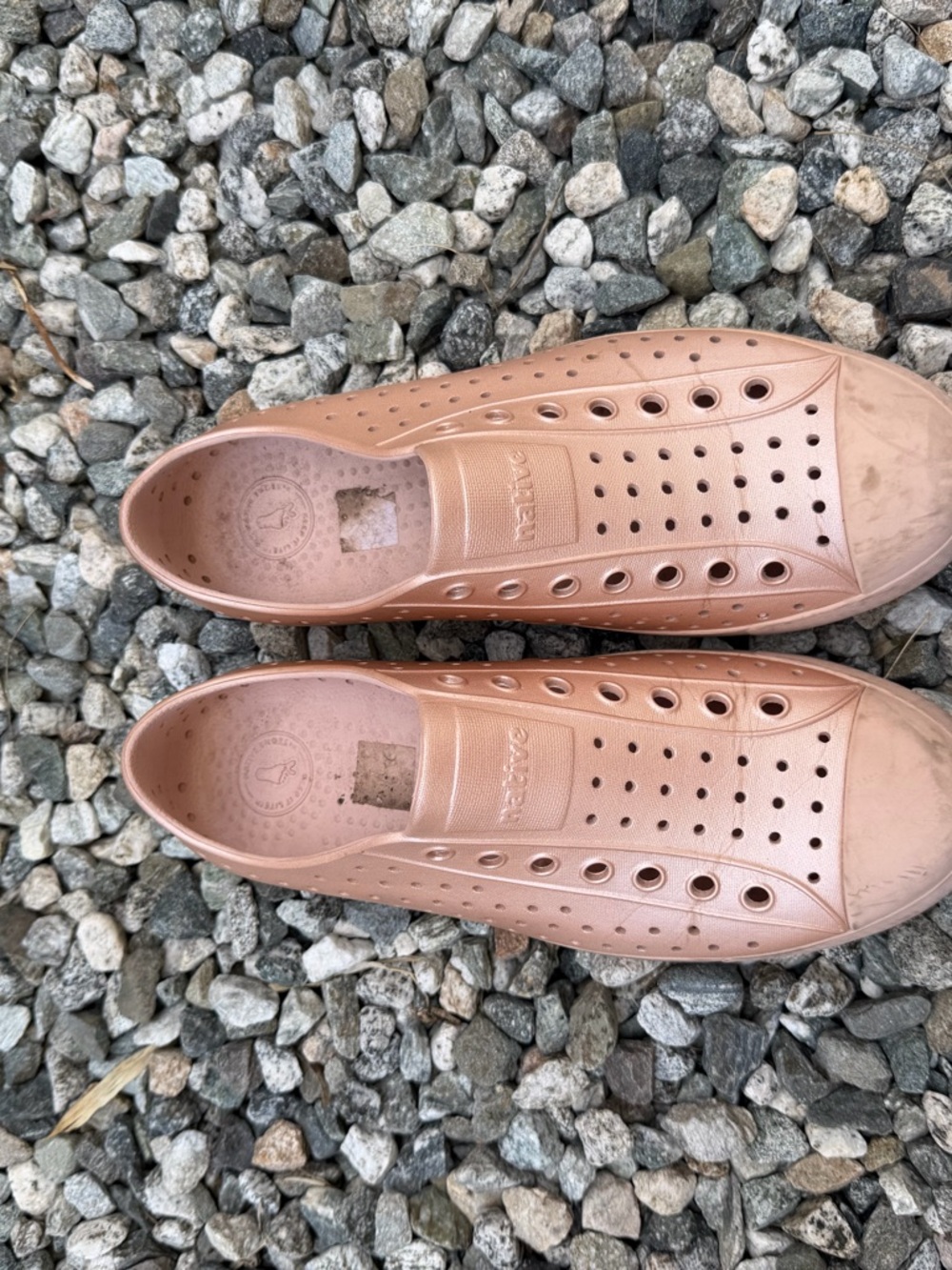 Native Jefferson Slip-On in Metallic Blush